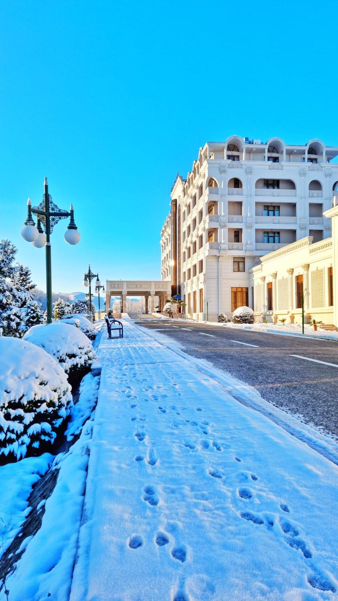 Ayan Palace Hotel Tovuz Exterior foto